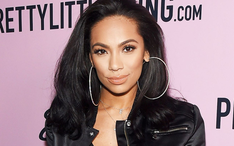 erica mena net worth